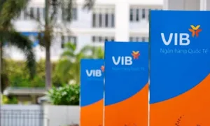 Huỷ giao dịch bán hơn 2,6 triệu cổ phiếu của chị dâu Chủ tịch VIB Huỷ giao dịch bán hơn 2,6 triệu cổ phiếu của chị dâu Chủ tịch VIB