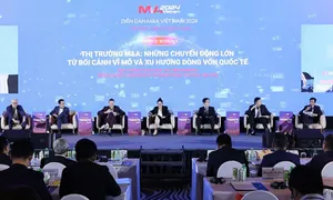 Thị trường M&A phục hồi