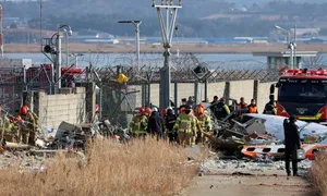 'Nếu không vướng tường bê tông, máy bay Jeju Air đã thoát nạn' 'Nếu không vướng tường bê tông, máy bay Jeju Air đã thoát nạn'