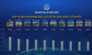 10 địa phương dẫn đầu trụ cột về vốn con người và nghiên cứu phát triển 10 địa phương dẫn đầu trụ cột về vốn con người và nghiên cứu phát triển
