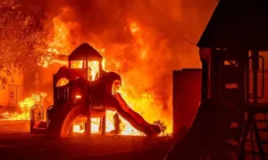 Gió hung thần gieo rắc cháy rừng ở California Gió hung thần gieo rắc cháy rừng ở California